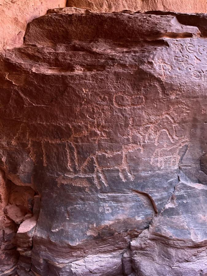 Wadi Rum Bedouin Heart Camp Екстериор снимка